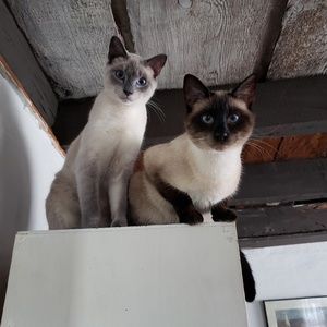 Meet your Posher, Chris